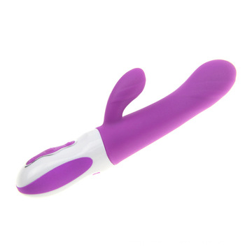 Dildo Vibrant Silicone Sex Toy pour Femme Injo-Zd005